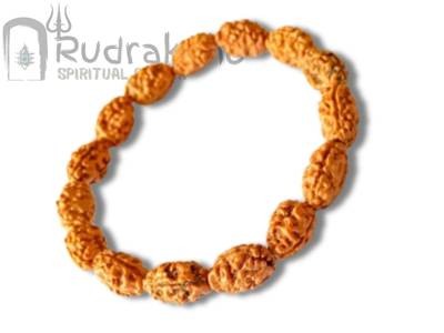 2 Mukhi Bracelet